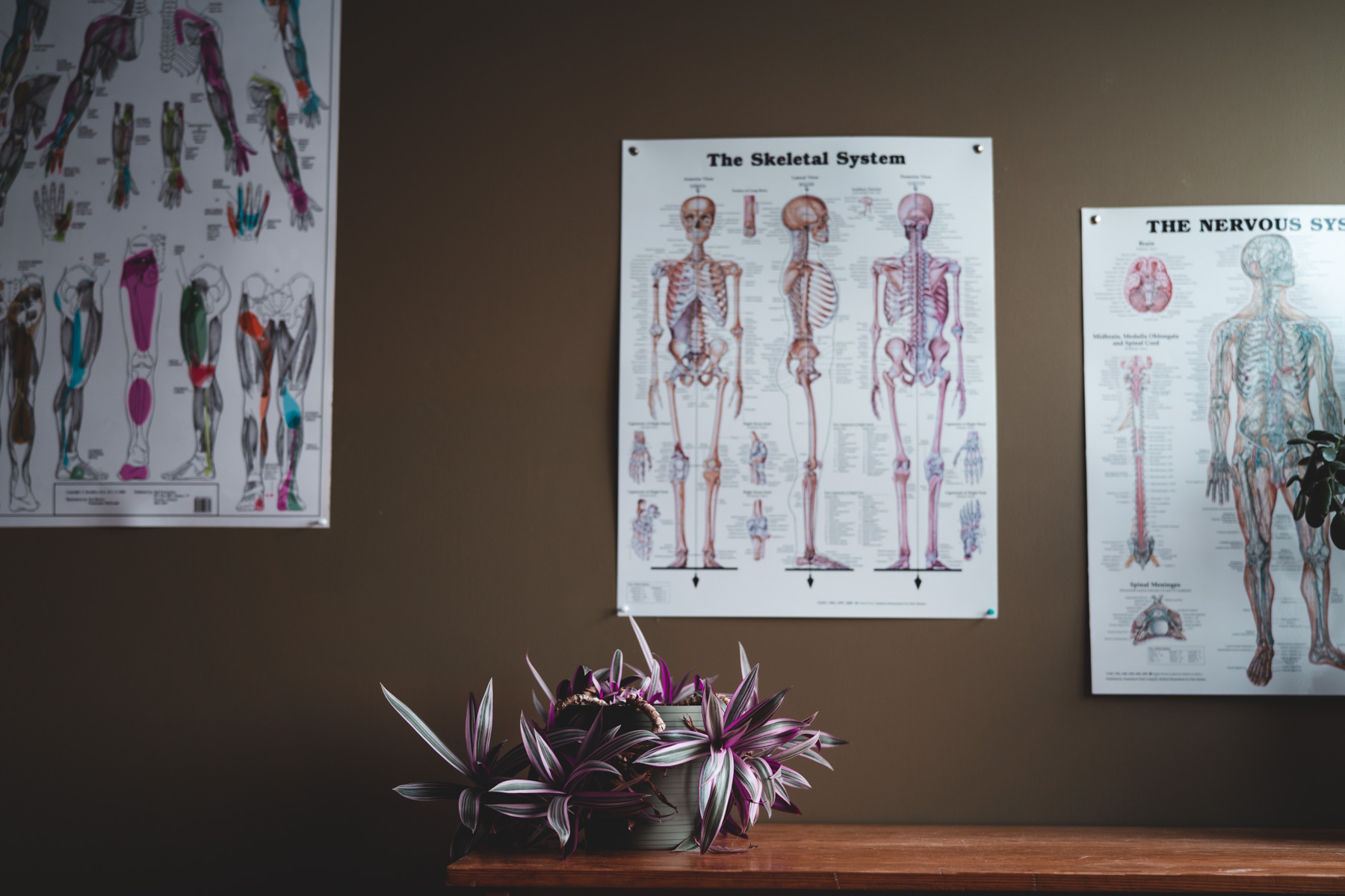 Ottawa Massage Ottawa Wellness